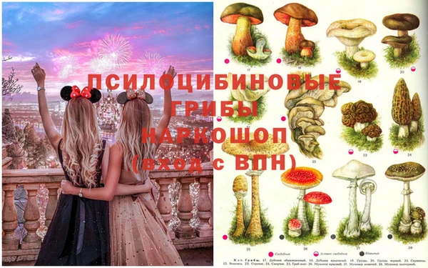 каннабис Алзамай