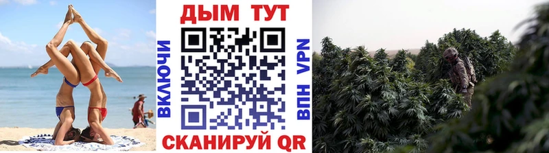 МАРИХУАНА Amnesia  Вихоревка 
